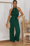 Accordion Pleated Belted Grecian Neck Sleeveless Jumpsuit - SwagglyLife Home & Fashion