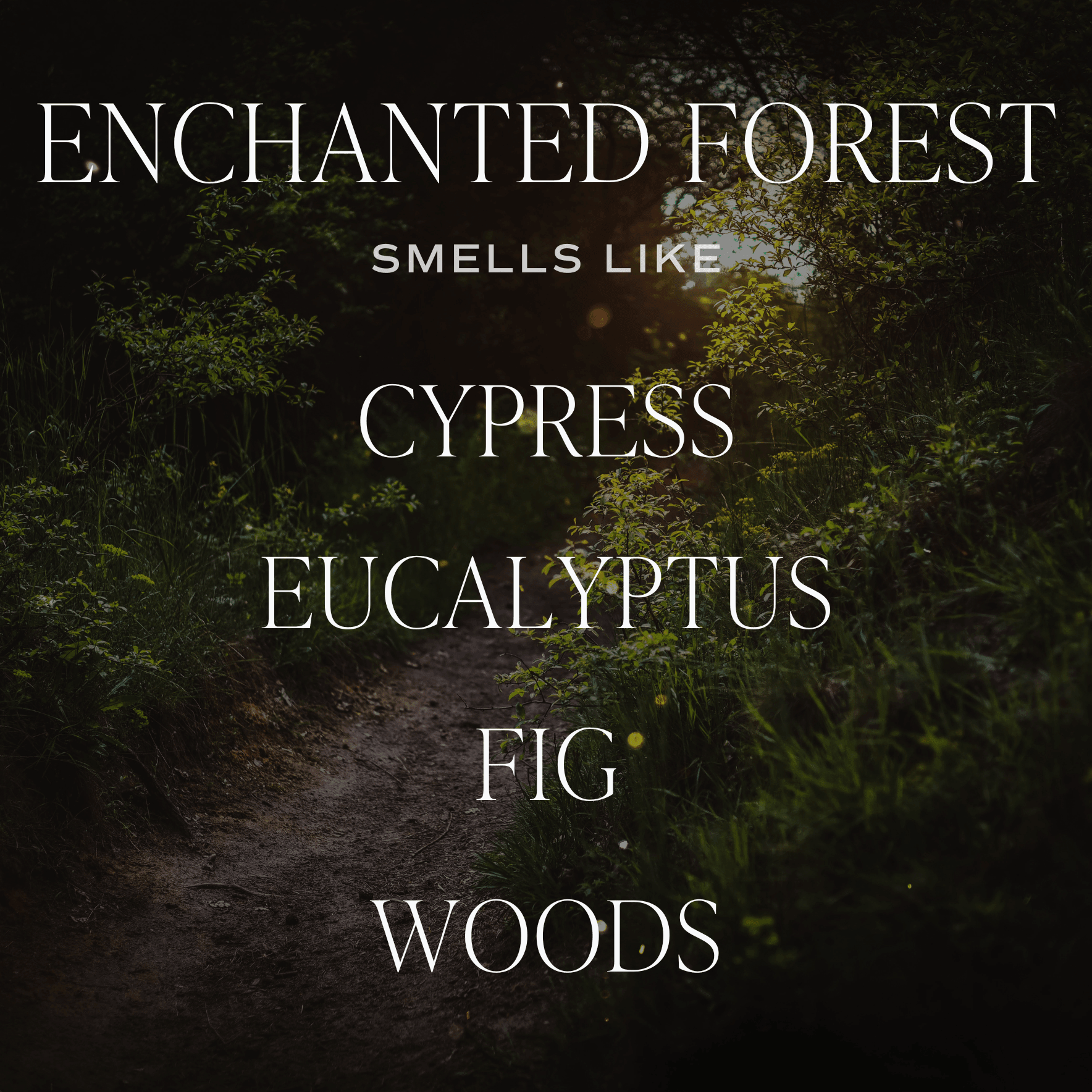 Enchanted Forest Soy Candle - Green Matte Jar - 15 oz (Cypress and Fig) - SwagglyLife Home & Fashion