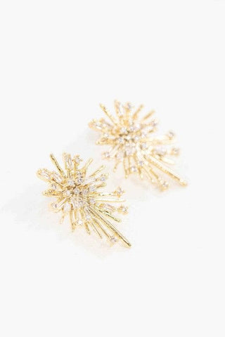 Flare Post Earrings - SwagglyLife Home & Fashion