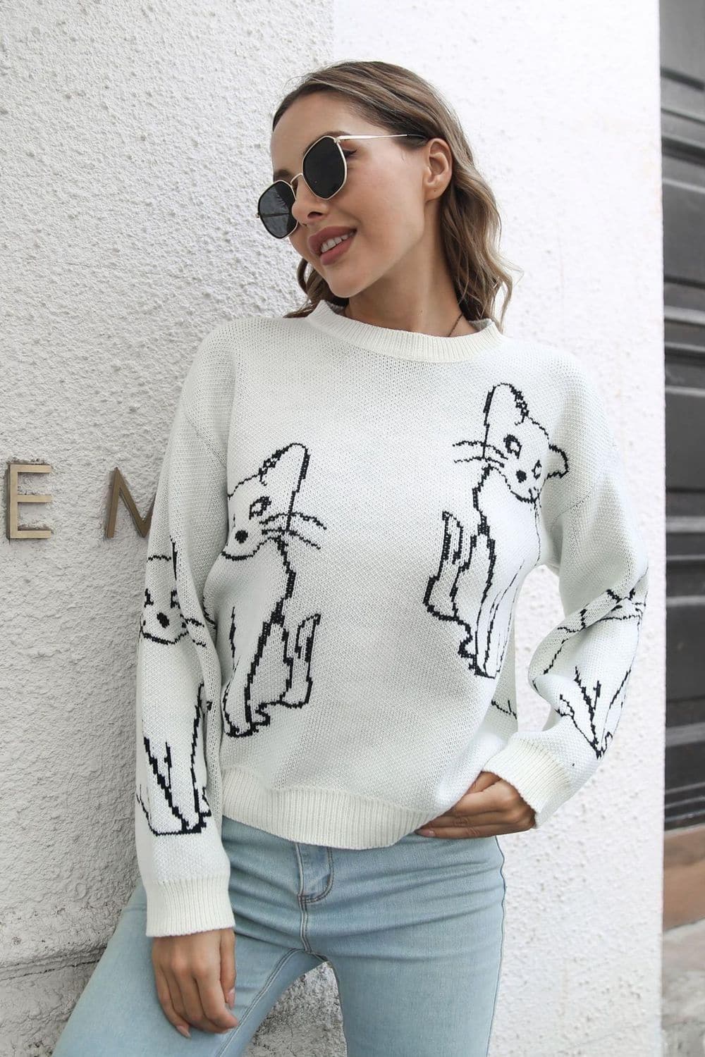 Cat Pattern Round Neck Long Sleeve Pullover Sweater, Multiple Colors - SwagglyLife Home & Fashion