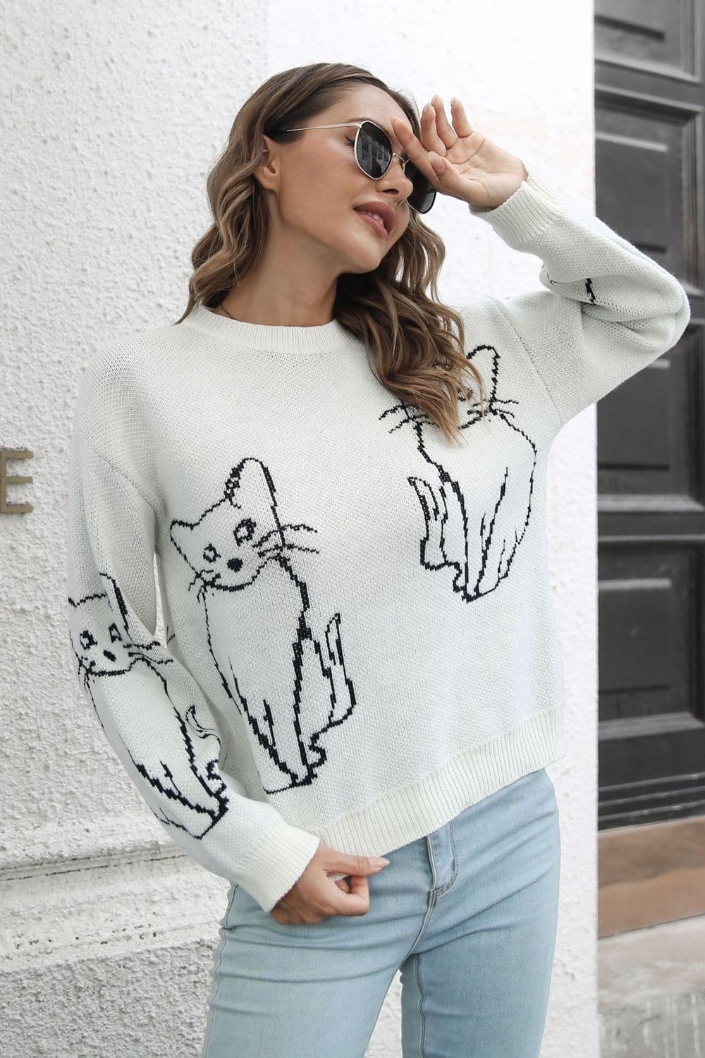 Cat Pattern Round Neck Long Sleeve Pullover Sweater, Multiple Colors - SwagglyLife Home & Fashion