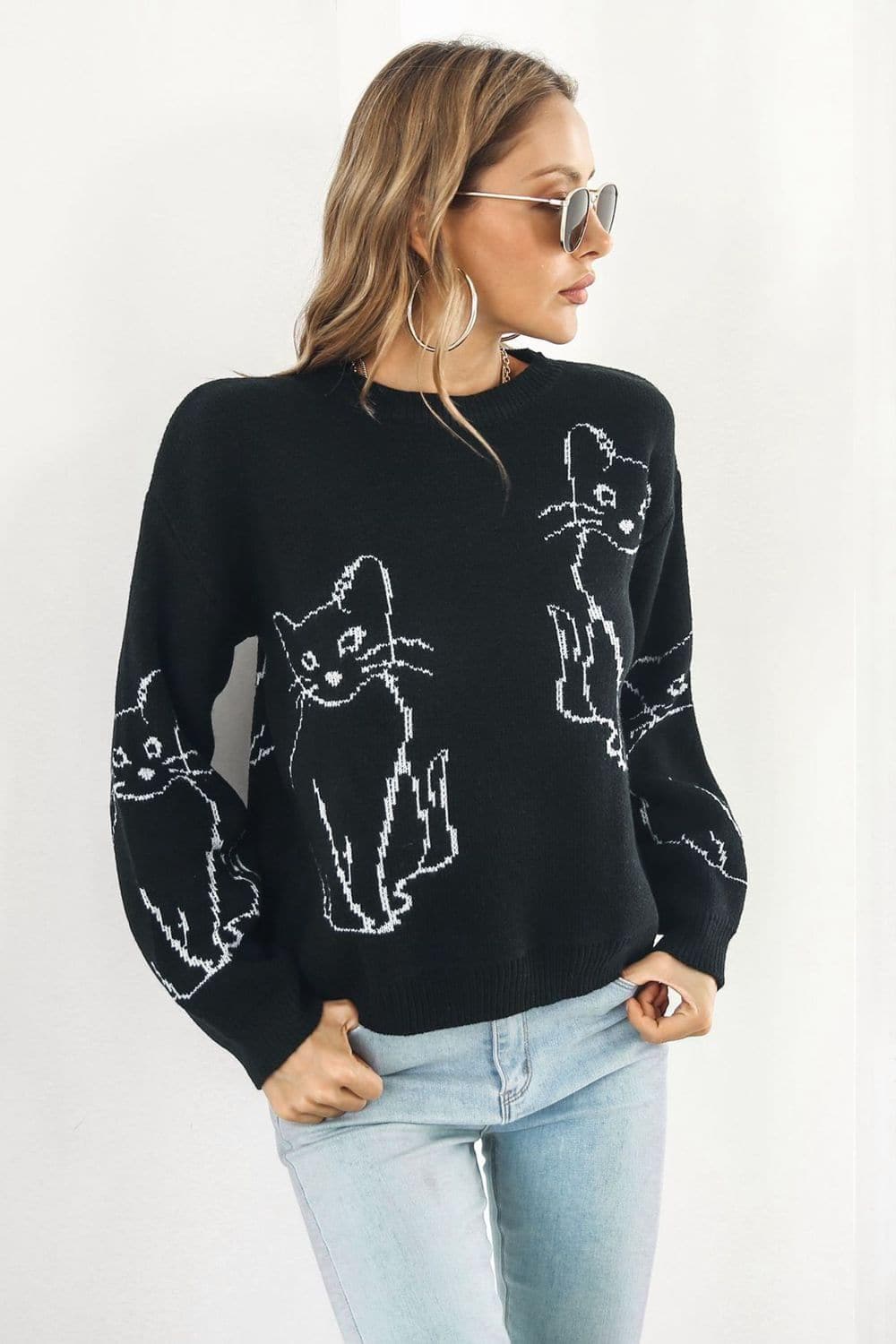 Cat Pattern Round Neck Long Sleeve Pullover Sweater, Multiple Colors - SwagglyLife Home & Fashion