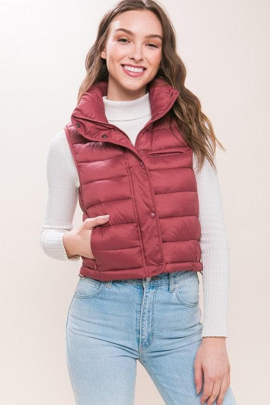 LOVE TREE High Neck Zip Up Puffer Vest with Storage Pouch, 6 Colors - SwagglyLife Home & Fashion